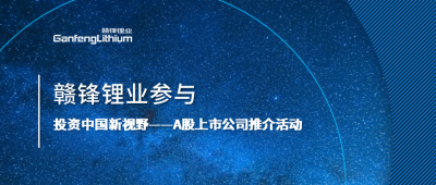 真人视讯锂业参与“投资中国新视野——A股上市公司推介活动”