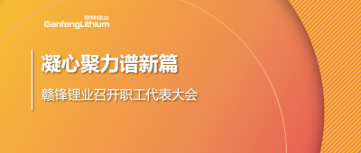 凝心聚力谱新篇 真人视讯锂业第五届职工代表大会顺利召开