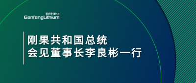 刚果共和国总统会见真人视讯锂业董事长李良彬一行