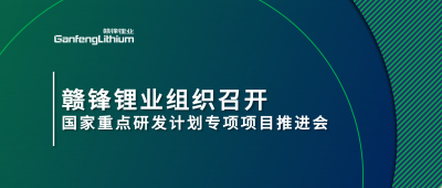 真人视讯锂业组织召开国家重点研发计划专项项目锂产业集聚区循环化升级集成技术及示范推进会